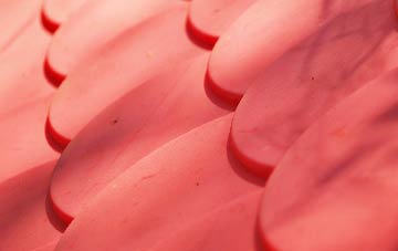 Putney plastic roof costs